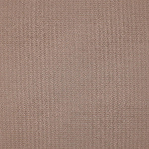 Security # 8126 Boudoir by Maxwell Fabric