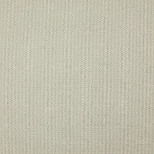 Security # 830 Oyster by Maxwell Fabric