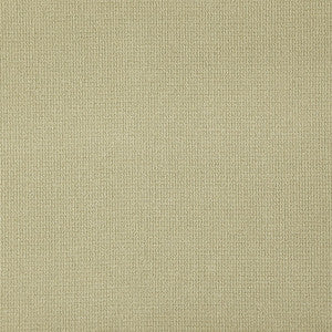 Security # 864 Fern by Maxwell Fabric