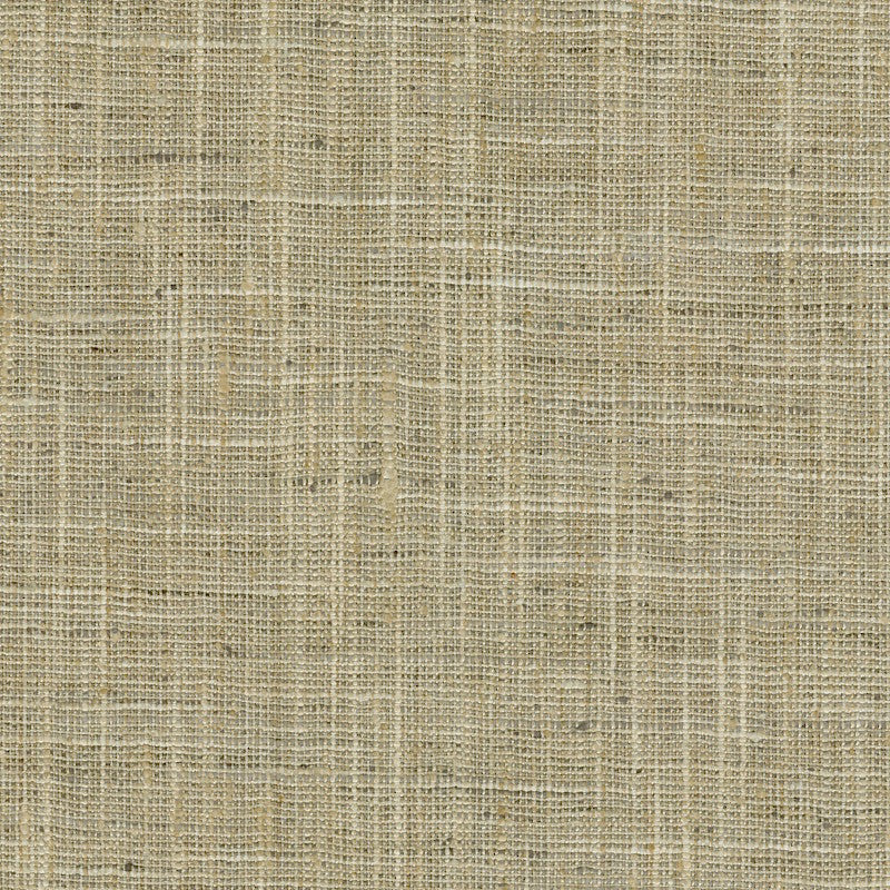 Sirgo Natural by Magnolia Fabric - 100% POLY INDIA 21,000 Horizontal: 0 and Vertical: 0 54" - Fabric Carolina -