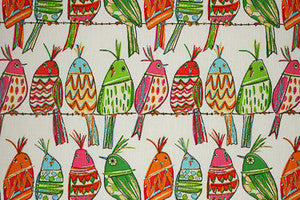 Sitting Pretty Rainbow by Richloom Fabric