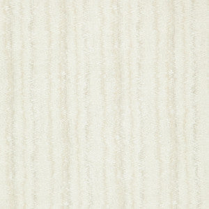 Sizzle 31J8491 By JF Fabric