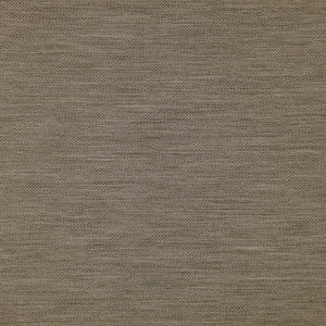 Sandman # 903 Shadow by Maxwell Fabric