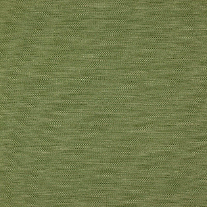 Sandman # 920 Grass by Maxwell Fabric DIM OUT I 100% POLYESTER TAIWAN </p><p>Repeat: Horizontal: and Vertical: 57.75" - Fabric Carolina -
