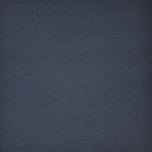 Salty Dog # 841 Denim by Maxwell Fabric