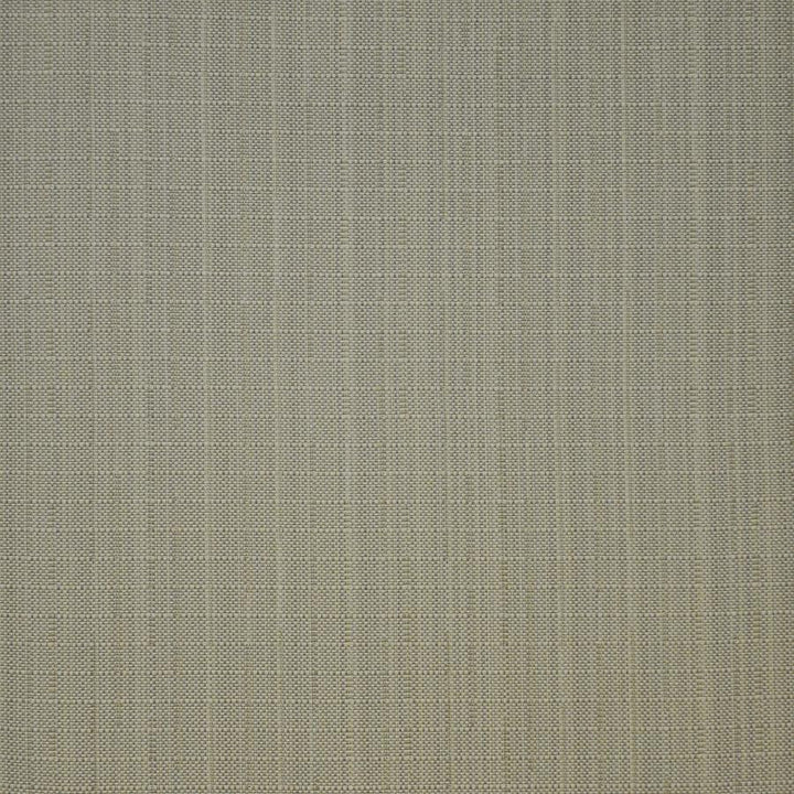 Skipjack # 805 Shell by Maxwell Fabric HOME & GARDEN-ACT IV 100% BELLA-DURA POLYOLEFIN USA 53/54" - Fabric Carolina -