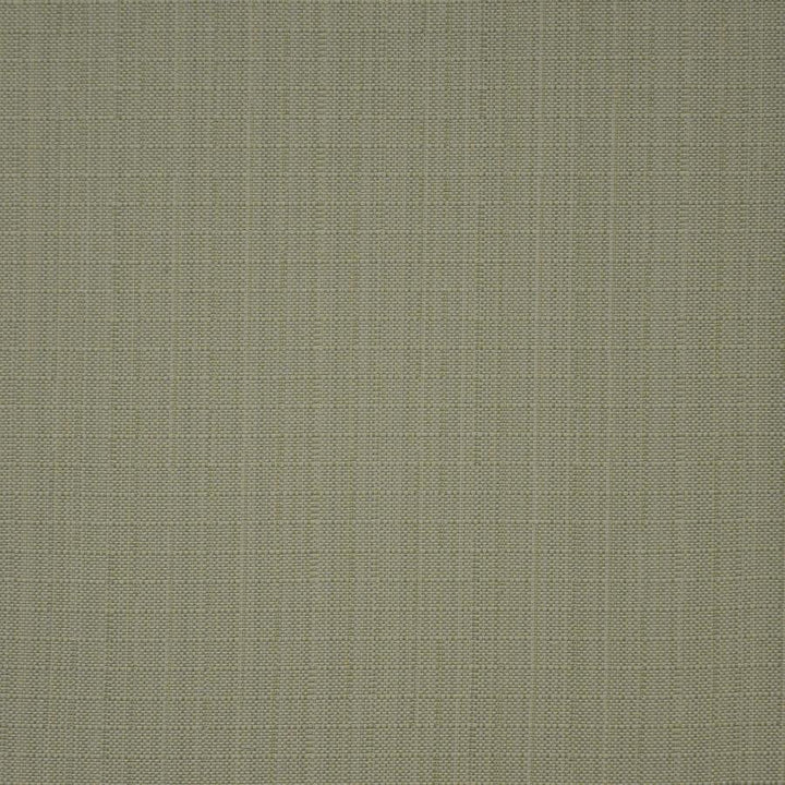 Skipjack # 807 Honeydew by Maxwell Fabric HOME & GARDEN-ACT IV 100% BELLA-DURA POLYOLEFIN USA 53/54" - Fabric Carolina -