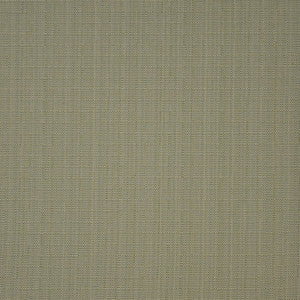 Skipjack # 807 Honeydew by Maxwell Fabric