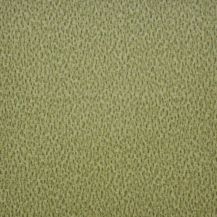 Spotlight # 212 Grasslands by Maxwell Fabric Easy Rider V 100% PVC TAIWAN 54" - Fabric Carolina -