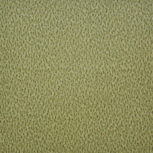Spotlight # 212 Grasslands by Maxwell Fabric