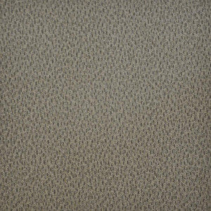 Spotlight # 257 Bark by Maxwell Fabric