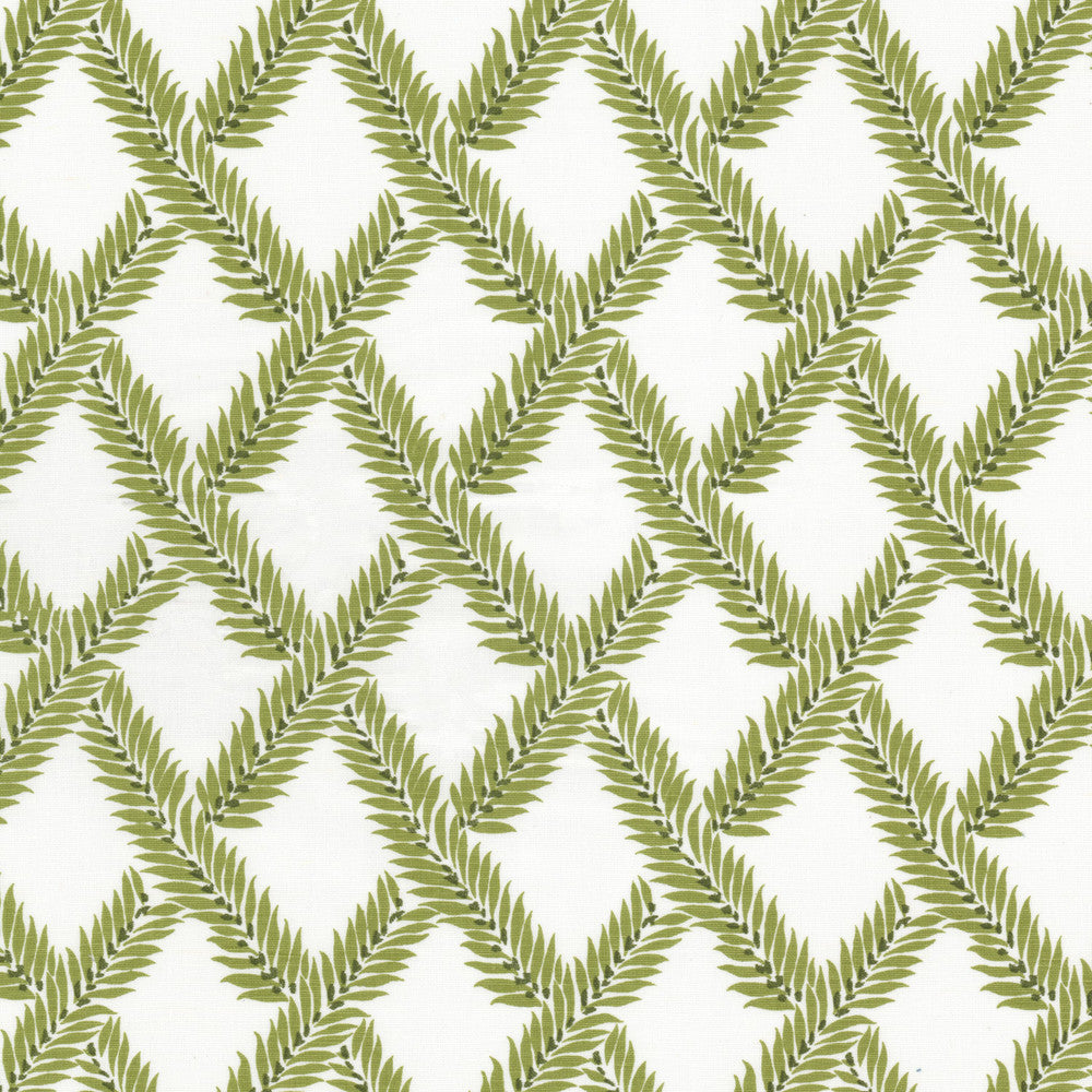 Skipper 3 Avocado by Stout Fabric Stout Fabric Skipper 3 AvocadoFabric Rainbow Library Celadon/Bottle 58%Lin 42%Cot India </p><p>Repeat: H: 4.25, V: 0 54 in - Fabric Carolina -