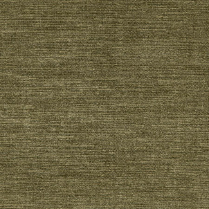 Shavasana # 23 Cactus by Maxwell Fabric Curled Up V 100% POLYESTER INDIA 54.3" - Fabric Carolina -