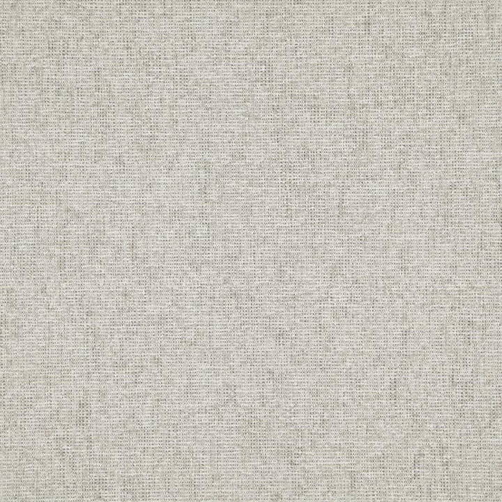 Space Race # 505 Flax by Maxwell Fabric 100% POLYESTER CHINA 57" - Fabric Carolina -