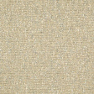 Space Race # 518 Harvest by Maxwell Fabric
