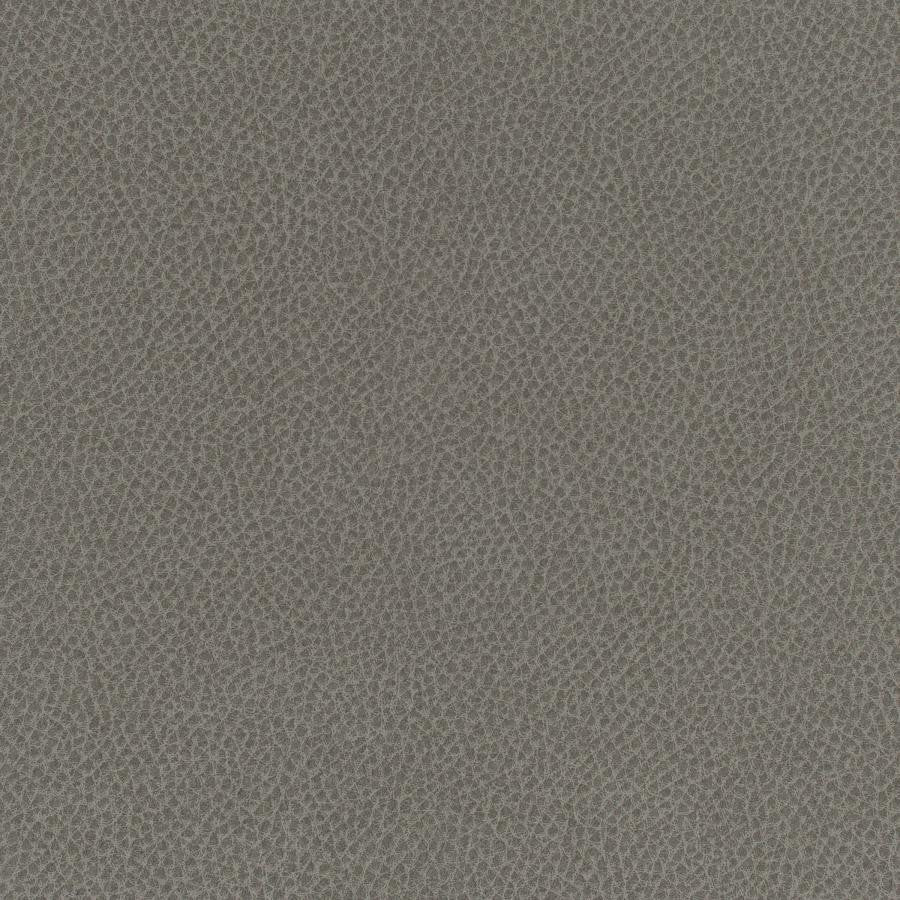 Scene # 702 Stingray by Maxwell Fabric Easy Rider Vii FACE: 95% POLYURETHANE/ 5% SILICONE
BACKING:100% POLYESTER TAIWAN 54" - Fabric Carolina -