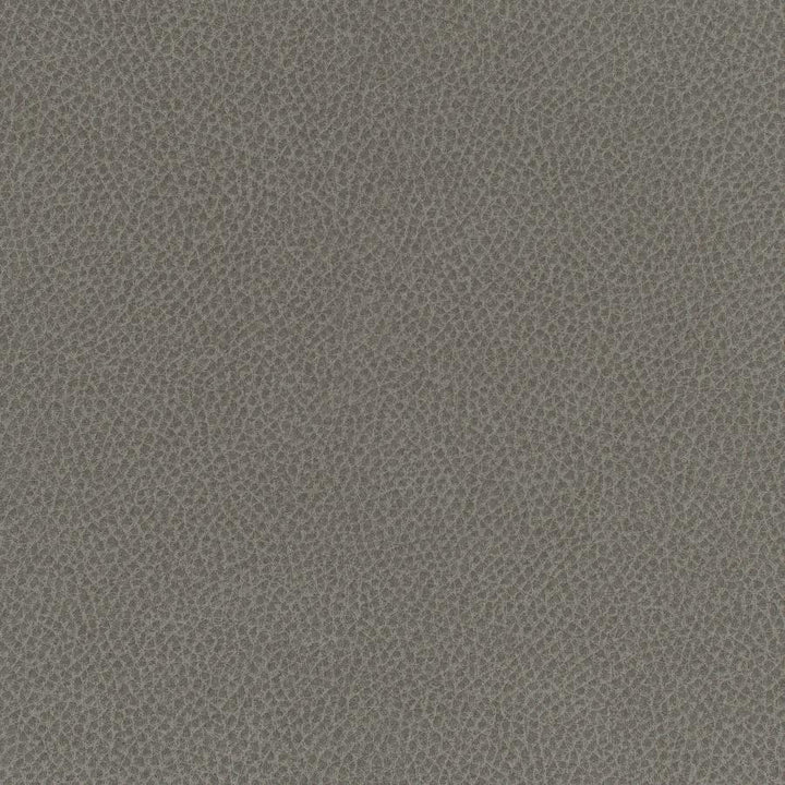 Scene # 702 Stingray by Maxwell Fabric Easy Rider Vii FACE: 95% POLYURETHANE/ 5% SILICONE
BACKING:100% POLYESTER TAIWAN 54" - Fabric Carolina -