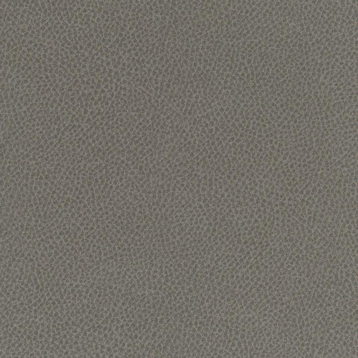 Scene # 702 Stingray by Maxwell Designer Fabric Easy Rider Vii FACE: 95% POLYURETHANE/ 5% SILICONE
BACKING:100% POLYESTER TAIWAN 54" - Swanky Fabrics -