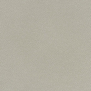 Scene # 705 Sediment by Maxwell Fabric