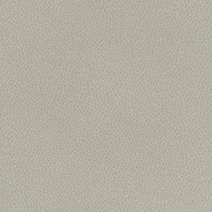 Scene # 705 Sediment by Maxwell Fabric Easy Rider Vii FACE: 95% POLYURETHANE/ 5% SILICONE
BACKING:100% POLYESTER TAIWAN 54" - Fabric Carolina -