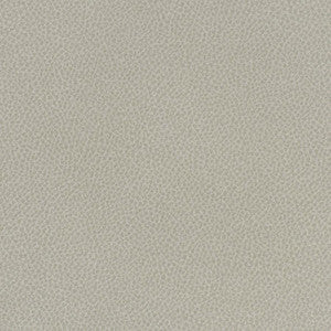 Scene # 705 Sediment by Maxwell Fabric