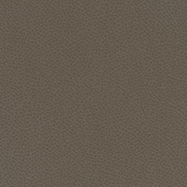 Scene # 711 Barley by Maxwell Fabric Easy Rider Vii FACE: 95% POLYURETHANE/ 5% SILICONE
BACKING:100% POLYESTER TAIWAN 54" - Fabric Carolina -