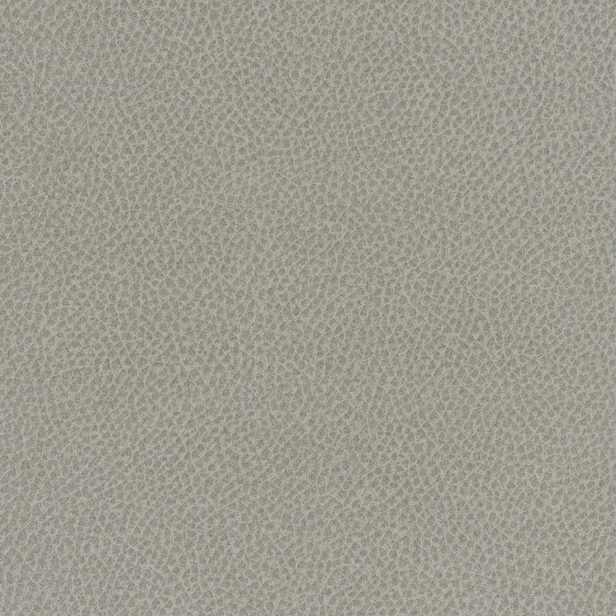 Scene # 713 Mist by Maxwell Fabric Easy Rider Vii FACE: 95% POLYURETHANE/ 5% SILICONE
BACKING:100% POLYESTER TAIWAN 54" - Fabric Carolina -