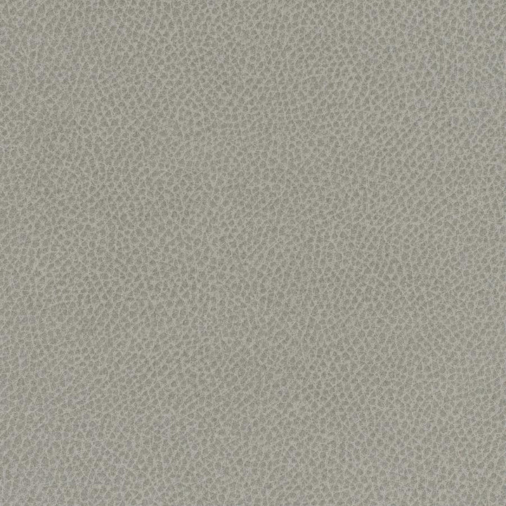Scene # 713 Mist by Maxwell Fabric Easy Rider Vii FACE: 95% POLYURETHANE/ 5% SILICONE
BACKING:100% POLYESTER TAIWAN 54" - Fabric Carolina -