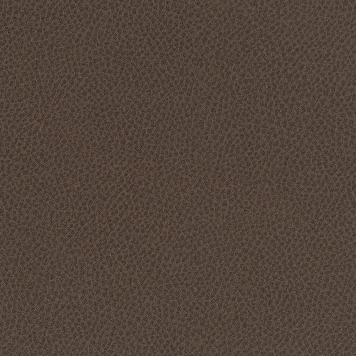 Scene # 720 Tea by Maxwell Fabric Easy Rider Vii FACE: 95% POLYURETHANE/ 5% SILICONE
BACKING:100% POLYESTER TAIWAN 54" - Fabric Carolina -
