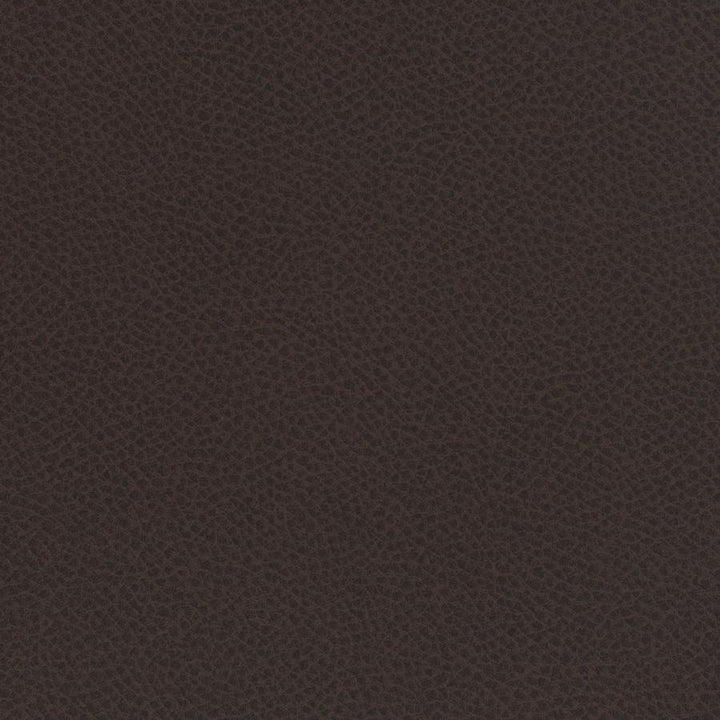Scene # 723 Cocoa by Maxwell Fabric Easy Rider Vii FACE: 95% POLYURETHANE/ 5% SILICONE
BACKING:100% POLYESTER TAIWAN 54" - Fabric Carolina -