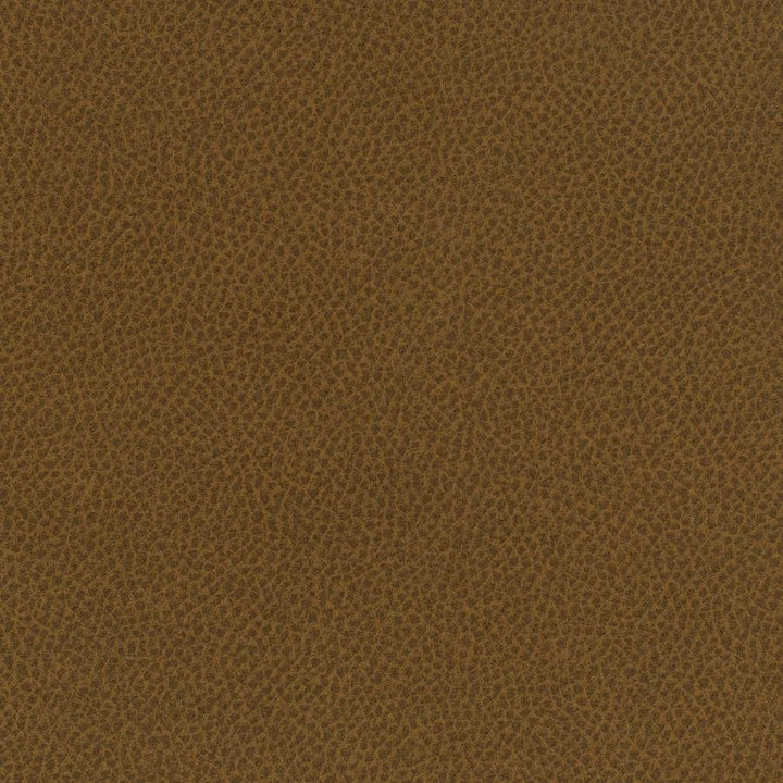 Scene # 730 Cumin by Maxwell Fabric Easy Rider Vii FACE: 95% POLYURETHANE/ 5% SILICONE
BACKING:100% POLYESTER TAIWAN 54" - Fabric Carolina -