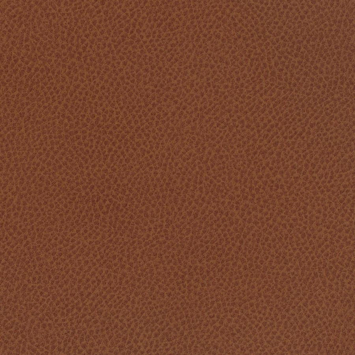 Scene # 733 Curry by Maxwell Fabric Easy Rider Vii FACE: 95% POLYURETHANE/ 5% SILICONE
BACKING:100% POLYESTER TAIWAN 54" - Fabric Carolina -