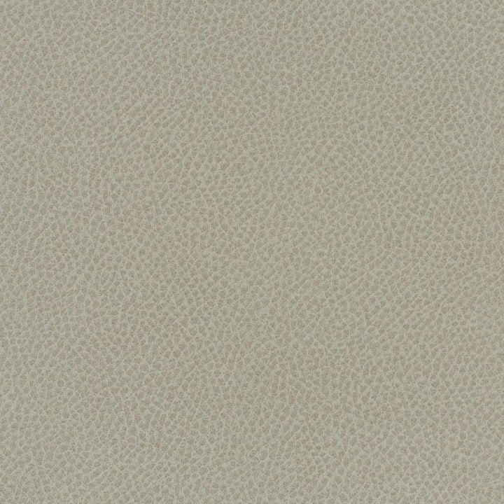 Scene # 737 Crater by Maxwell Fabric Easy Rider Vii FACE: 95% POLYURETHANE/ 5% SILICONE
BACKING:100% POLYESTER TAIWAN 54" - Fabric Carolina -