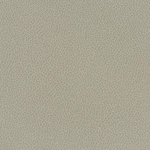 Scene # 737 Crater by Maxwell Fabric