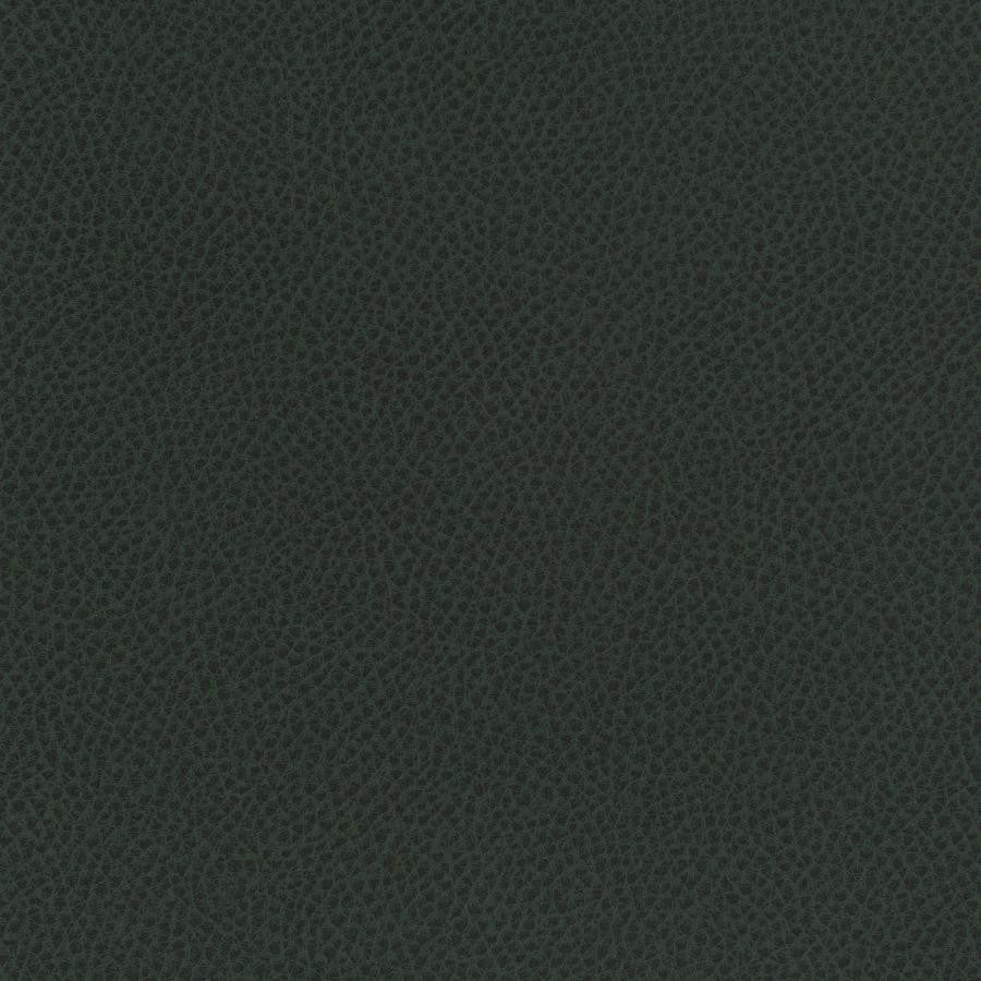 Scene # 743 Forest by Maxwell Fabric Easy Rider Vii FACE: 95% POLYURETHANE/ 5% SILICONE
BACKING:100% POLYESTER TAIWAN 54" - Fabric Carolina -