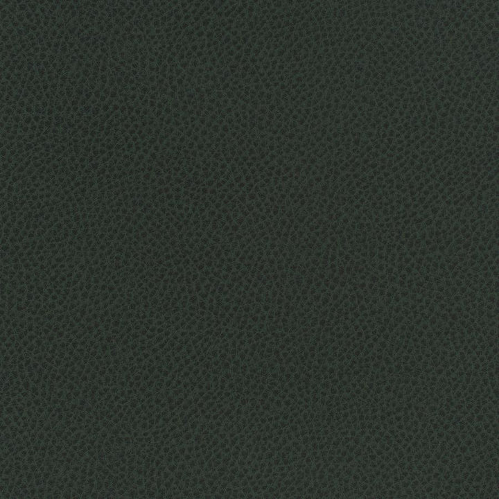 Scene # 743 Forest by Maxwell Fabric Easy Rider Vii FACE: 95% POLYURETHANE/ 5% SILICONE
BACKING:100% POLYESTER TAIWAN 54" - Fabric Carolina -