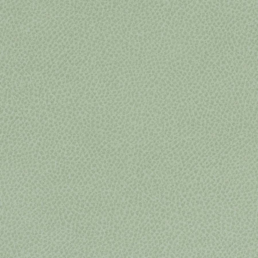 Scene # 747 Aloe by Maxwell Designer Fabric Easy Rider Vii FACE: 95% POLYURETHANE/ 5% SILICONE
BACKING:100% POLYESTER TAIWAN 54" - Swanky Fabrics -