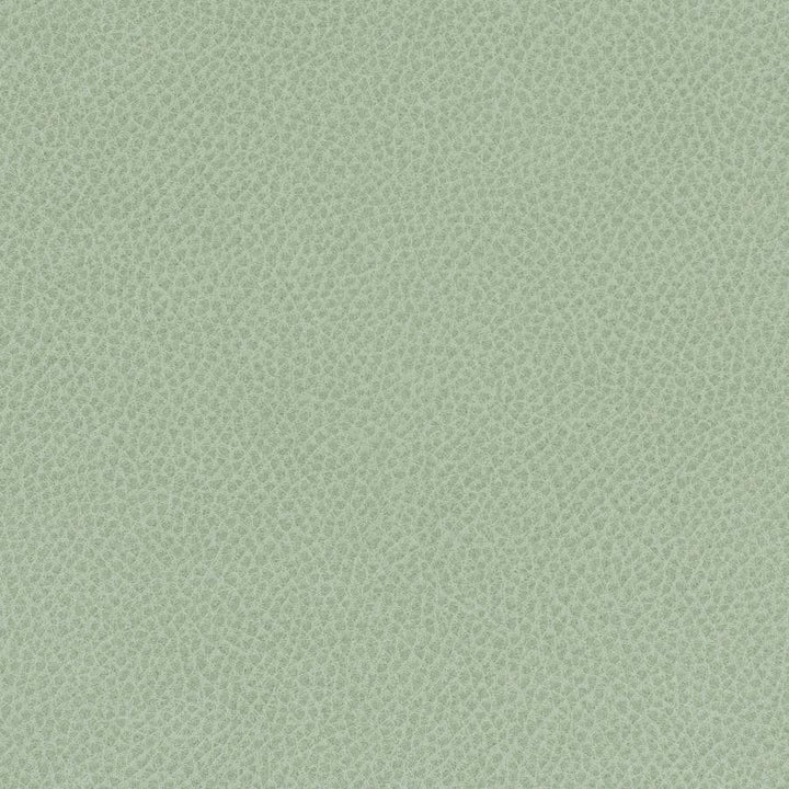 Scene # 747 Aloe by Maxwell Designer Fabric Easy Rider Vii FACE: 95% POLYURETHANE/ 5% SILICONE
BACKING:100% POLYESTER TAIWAN 54" - Swanky Fabrics -