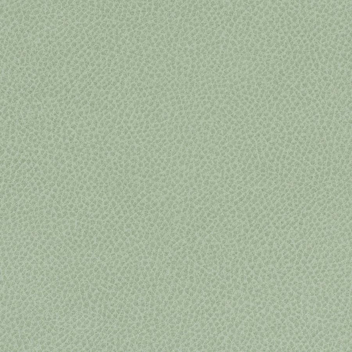 Scene # 747 Aloe by Maxwell Fabric Easy Rider Vii FACE: 95% POLYURETHANE/ 5% SILICONE
BACKING:100% POLYESTER TAIWAN 54" - Fabric Carolina -