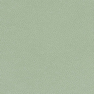 Scene # 747 Aloe by Maxwell Fabric