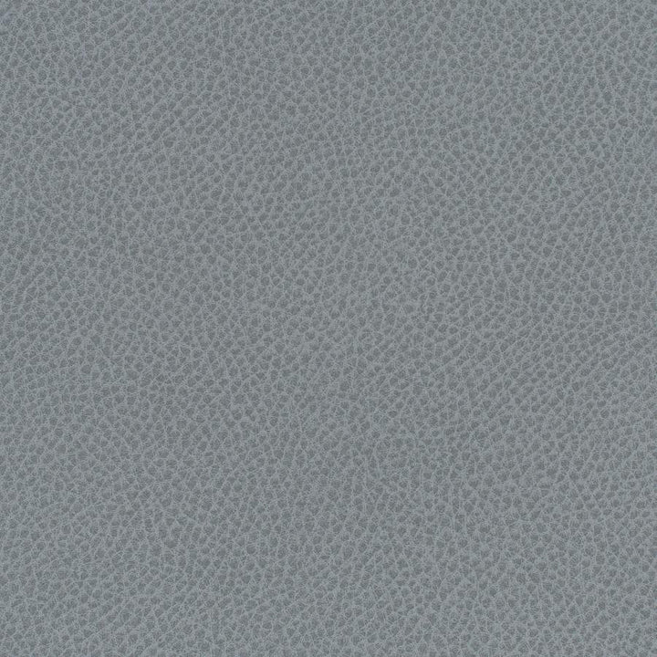 Scene # 749 Blue Slate by Maxwell Designer Fabric Easy Rider Vii FACE: 95% POLYURETHANE/ 5% SILICONE
BACKING:100% POLYESTER TAIWAN 54" - Swanky Fabrics -