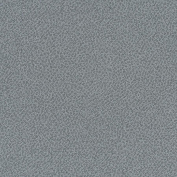 Scene # 749 Blue Slate by Maxwell Fabric Easy Rider Vii FACE: 95% POLYURETHANE/ 5% SILICONE
BACKING:100% POLYESTER TAIWAN 54" - Fabric Carolina -