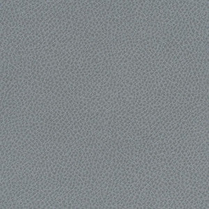 Scene # 749 Blue Slate by Maxwell Fabric