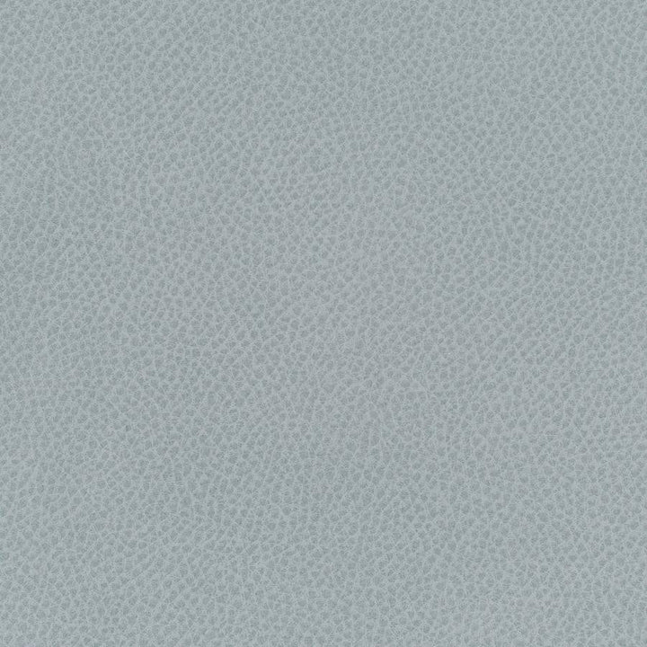 Scene # 751 Geyser by Maxwell Designer Fabric Easy Rider Vii FACE: 95% POLYURETHANE/ 5% SILICONE
BACKING:100% POLYESTER TAIWAN 54" - Swanky Fabrics -