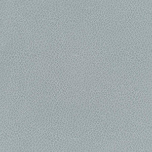Scene # 751 Geyser by Maxwell Fabric