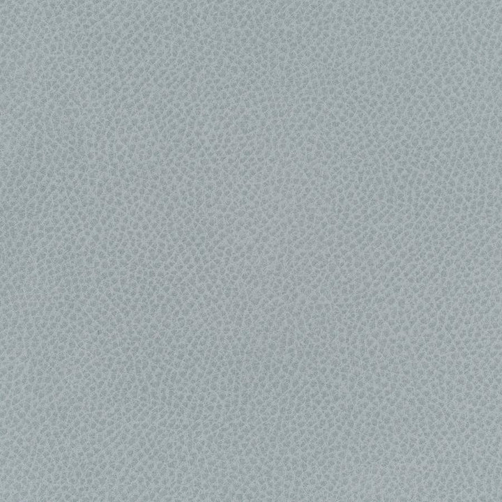 Scene # 751 Geyser by Maxwell Fabric Easy Rider Vii FACE: 95% POLYURETHANE/ 5% SILICONE
BACKING:100% POLYESTER TAIWAN 54" - Fabric Carolina -