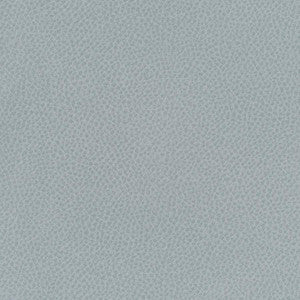 Scene # 751 Geyser by Maxwell Fabric