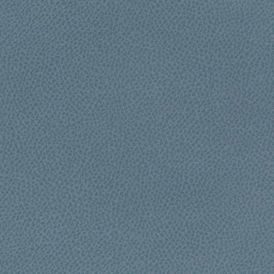 Scene # 754 Ontario by Maxwell Fabric Easy Rider Vii FACE: 95% POLYURETHANE/ 5% SILICONE
BACKING:100% POLYESTER TAIWAN 54" - Fabric Carolina -