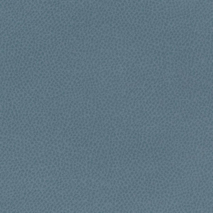 Scene # 754 Ontario by Maxwell Fabric Easy Rider Vii FACE: 95% POLYURETHANE/ 5% SILICONE
BACKING:100% POLYESTER TAIWAN 54" - Fabric Carolina -