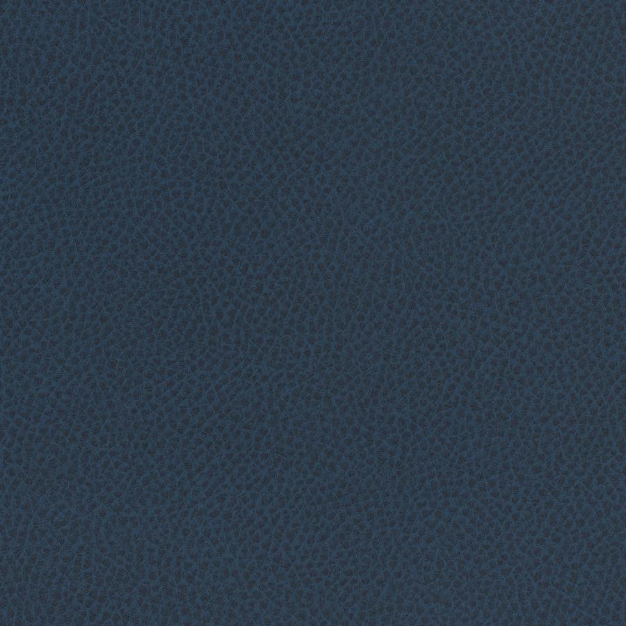 Scene # 761 Admiral by Maxwell Fabric Easy Rider Vii FACE: 95% POLYURETHANE/ 5% SILICONE
BACKING:100% POLYESTER TAIWAN 54" - Fabric Carolina -
